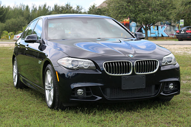 2014 BMW 5-Series (Blue/Black)