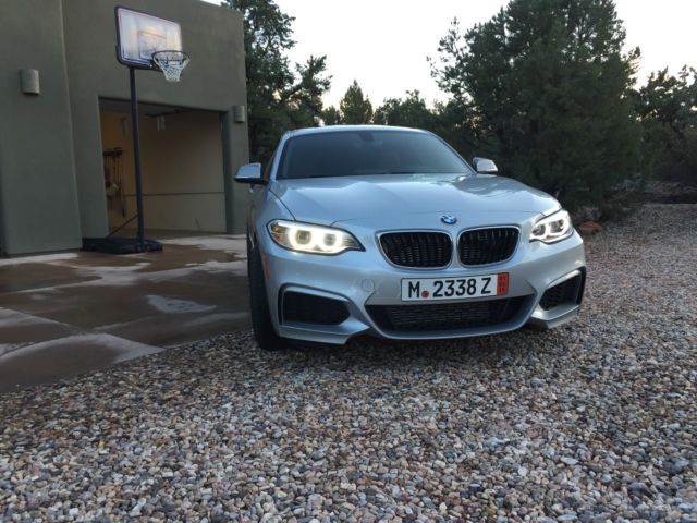 2015 BMW 2-Series (silver/Dakota brown)