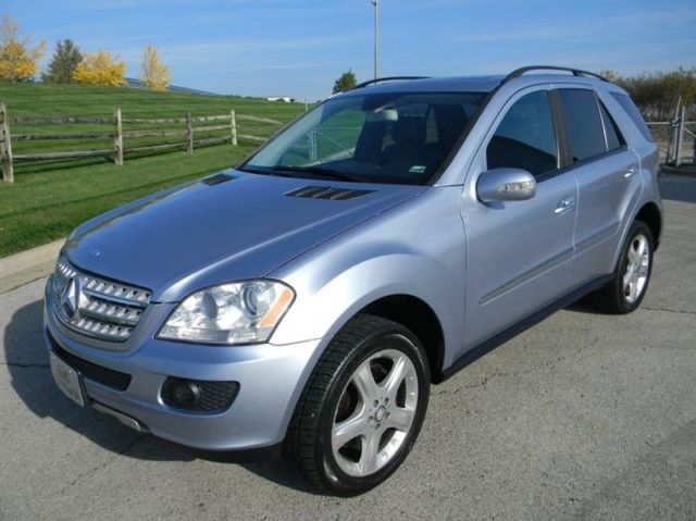 2008 Mercedes-Benz M-Class (Blue/Gray)