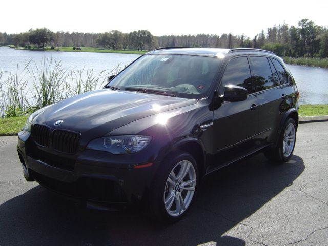 2011 BMW X5 (Black/Black)