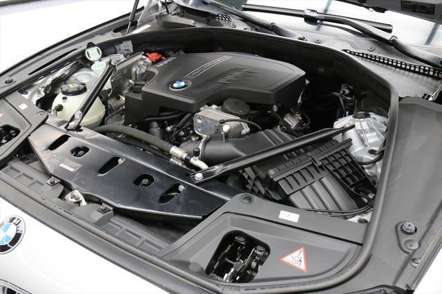 2015 BMW 5-Series (Silver/Black)