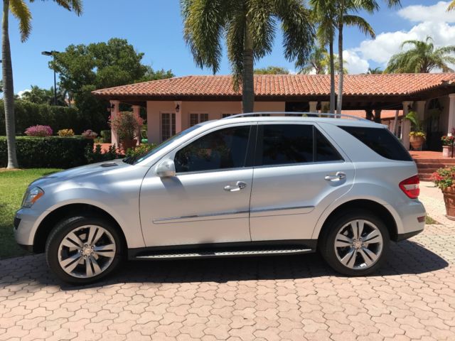 2010 Mercedes-Benz M-Class (Silver/Black)