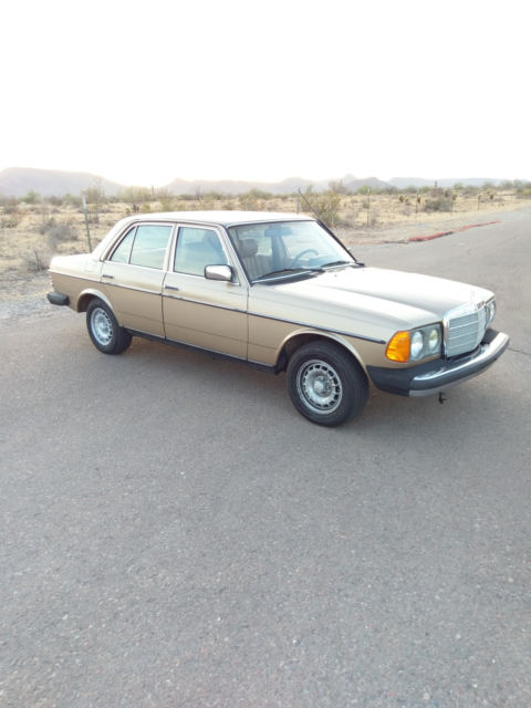 1983 Mercedes-Benz 300-Series (Champagne/palomino)