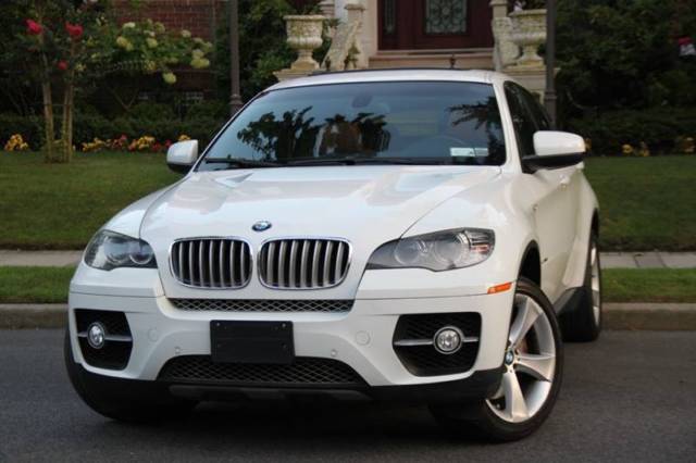 2009 BMW X6 (White/Brown)