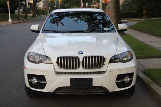 2009 BMW X6 (White/Brown)
