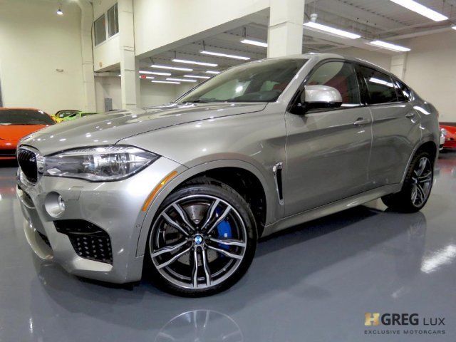 2015 BMW X6 (Gray/Red)