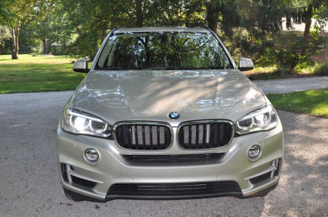 2014 BMW X5 (Silver/Brown)