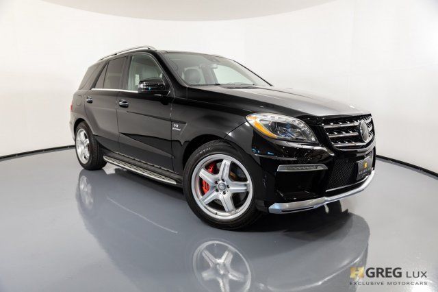 2014 Mercedes-Benz M-Class (Black/Black)