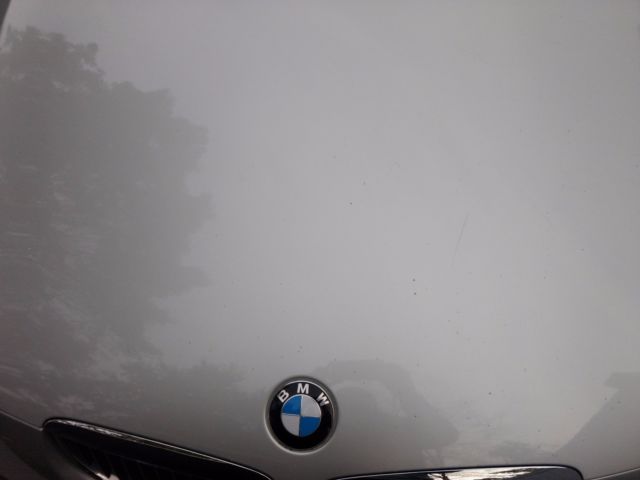 2007 BMW 3-Series (Silver/Gray)