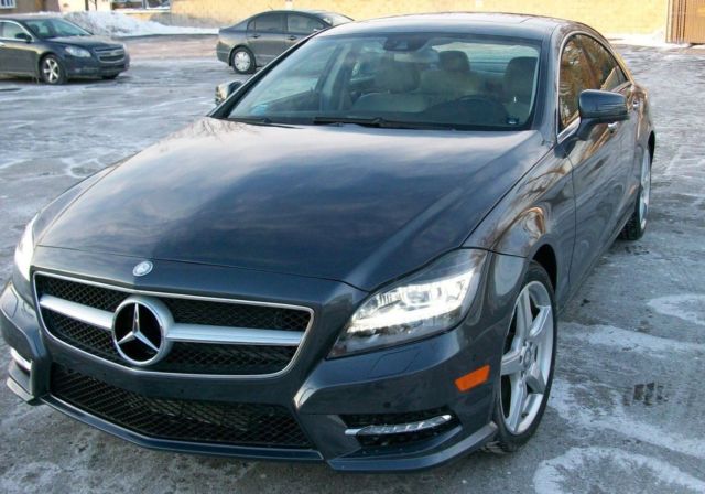 2014 Mercedes-Benz CLS-Class (Steel Grey Metallic/Ash / Black)