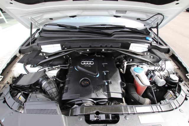 2012 Audi Q5 (White/Black)