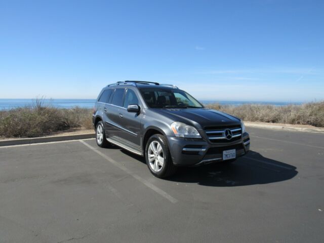 2010 Mercedes-Benz GL-Class (Gray/Black)