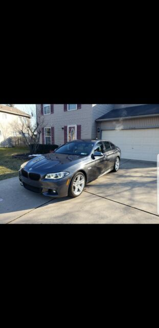 2016 BMW 5-Series (Gray/White)