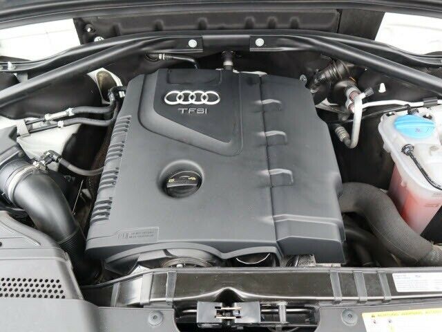 2017 Audi Q5 (White/Pistachio Beige)