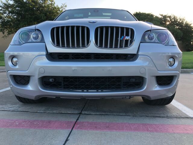 2009 BMW X5 (Gray/Gray)