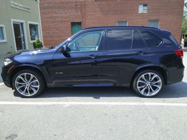 2014 BMW X5 (Blue/White)