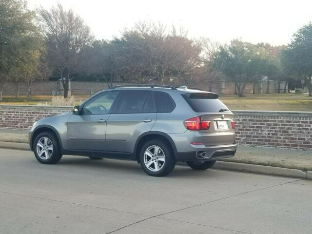 2012 BMW X5 (Grey/White)