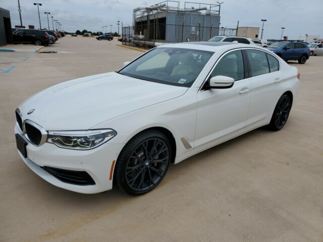 2020 BMW 5-Series (White/Brown)