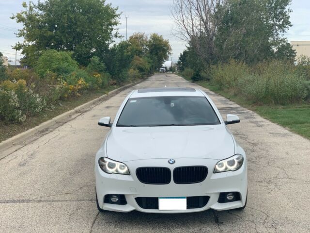 2014 BMW 5-Series (White/Black)