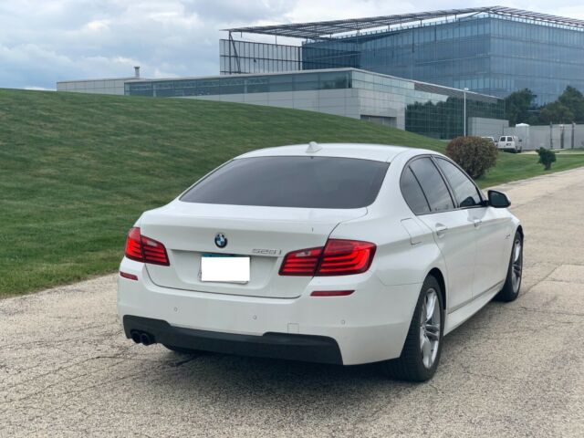 2014 BMW 5-Series (White/Black)