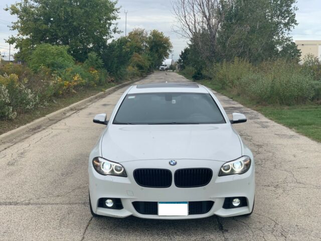 2014 BMW 5-Series (White/Black)