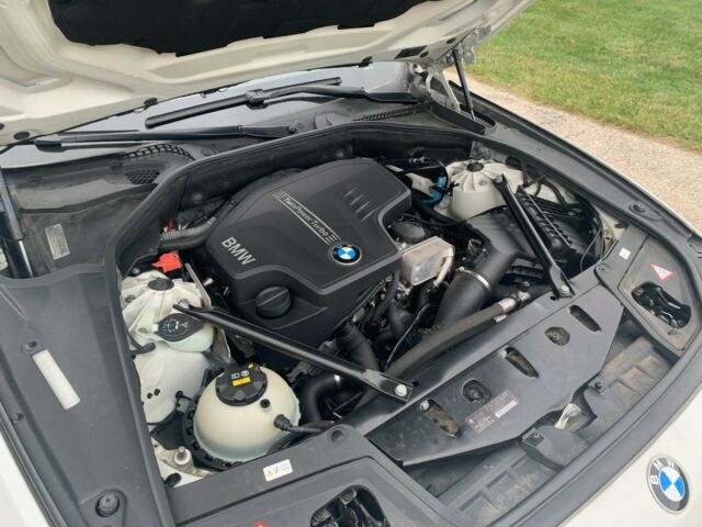 2014 BMW 5-Series (White/Black)