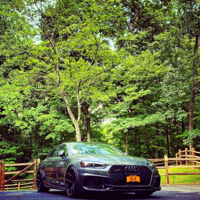 2018 Audi RS5 (Grey/Brown)