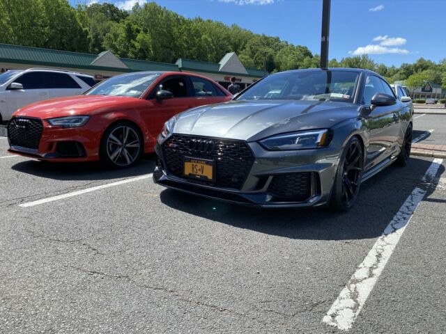 2018 Audi RS5 (Grey/Brown)