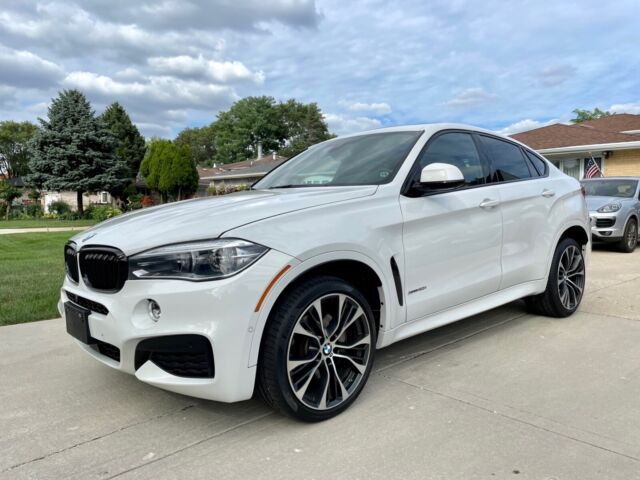 2019 BMW X6 (White/Brown)