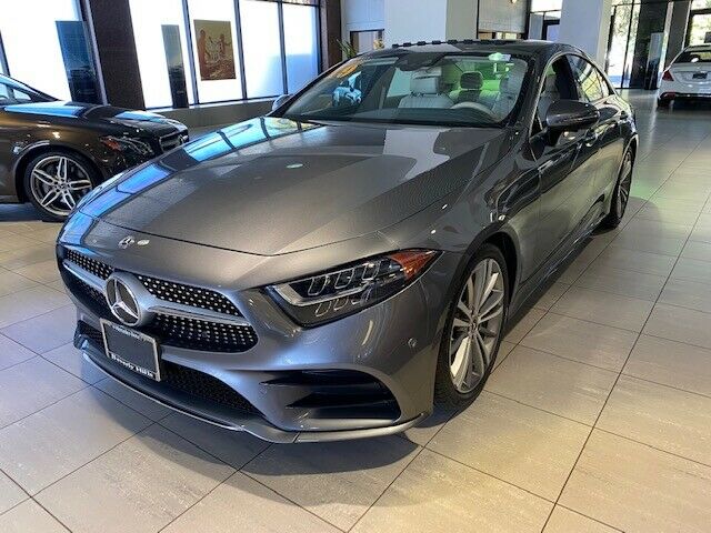 2019 Mercedes-Benz CLS-Class (SELENITE GRAY METALLIC/MACCHIATO BEIGE-MAGMA GRAY LEATHER)