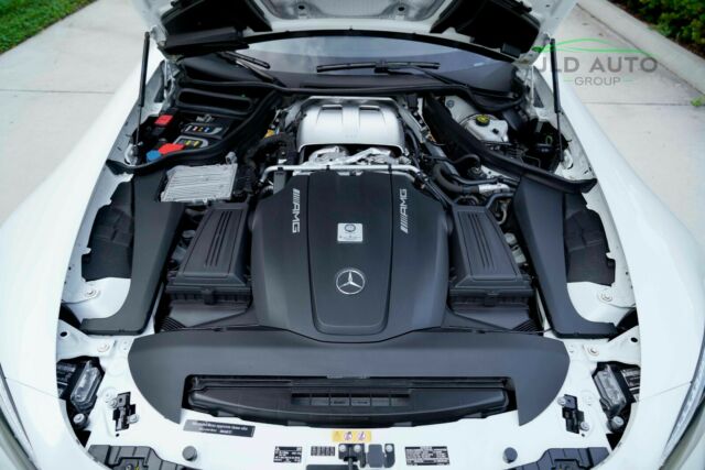 2018 Mercedes-Benz AMG GT (White/Black)