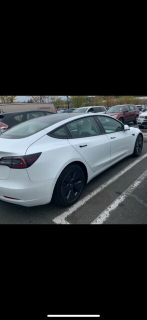 2021 Tesla Model 3 (White/White)