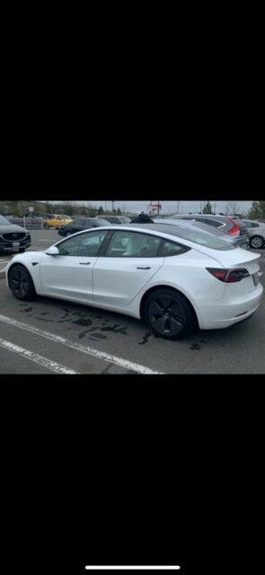 2021 Tesla Model 3 (White/White)