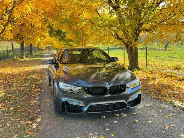 2015 BMW M4 (Gray/Red)