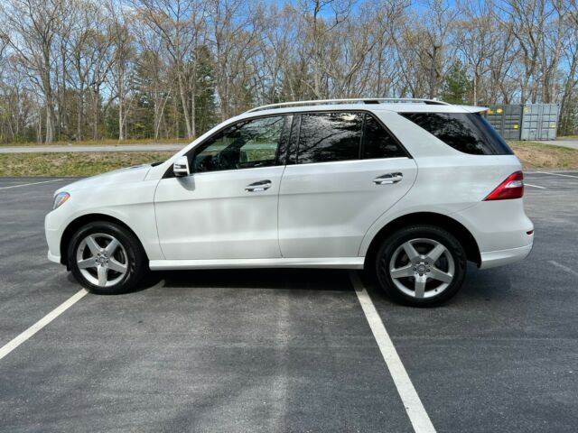 2015 Mercedes-Benz M-Class (White/Brown)