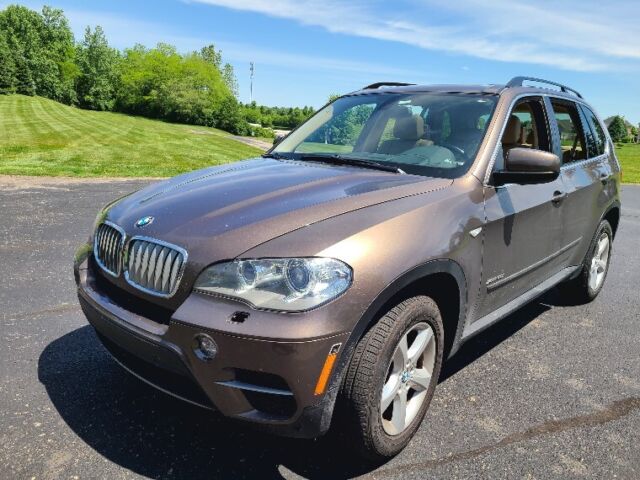 2012 BMW X5 (Brown/Tan)