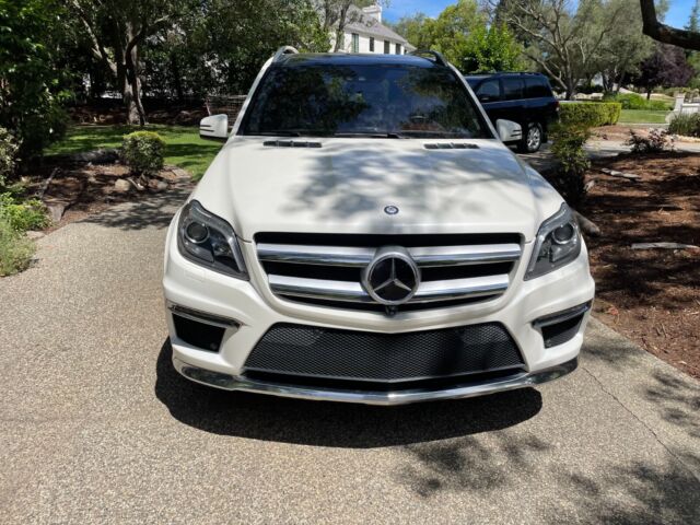 2015 Mercedes-Benz GL-Class (Black/Almond Beige)