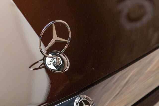 2018 Mercedes-Benz S-Class S560V4 (Brown/White)