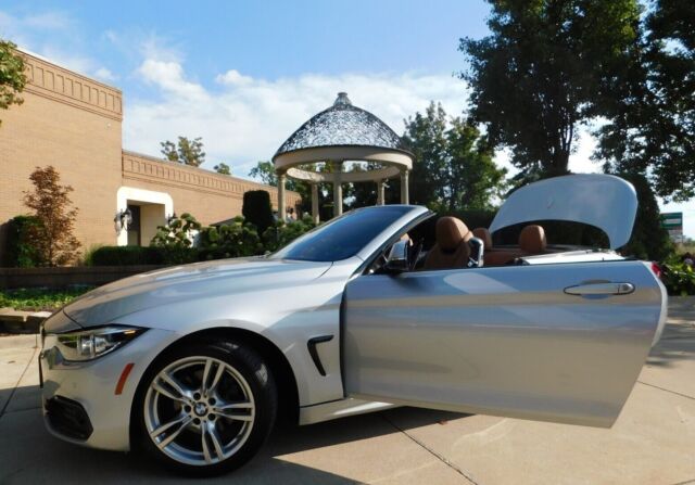 2019 BMW 4-Series (SHARP SILVER EXTERIOR/CANYON LEATHER)