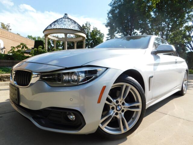 2019 BMW 4-Series (SHARP SILVER EXTERIOR/CANYON LEATHER)
