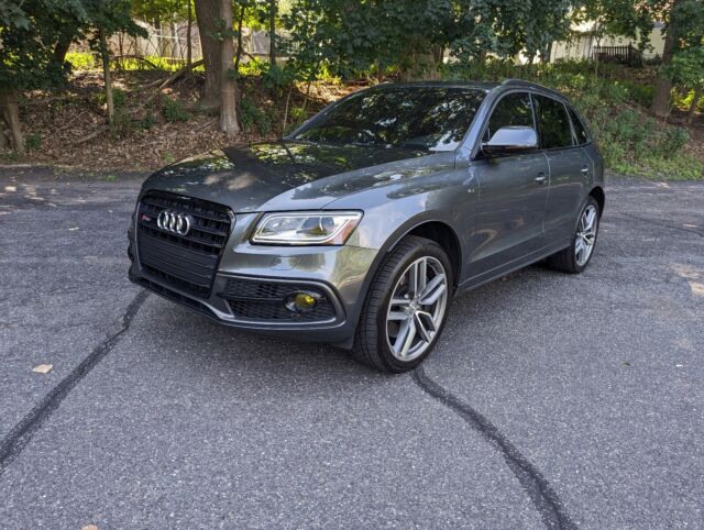 2015 Audi SQ5 (Grey/Gray)